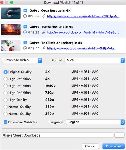 4K Video Downloader