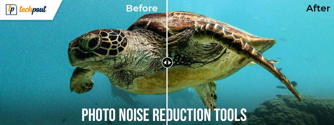 5 Best Free Photo Noise Reduction Tools and Websites in 2021