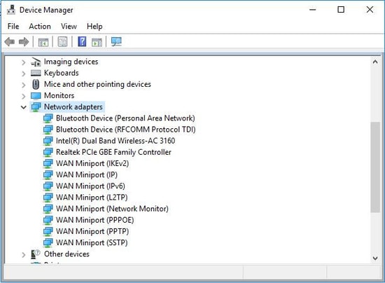 Device Manager Network adapter segment
