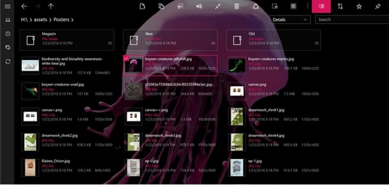 Files & Folder lite - File Manager