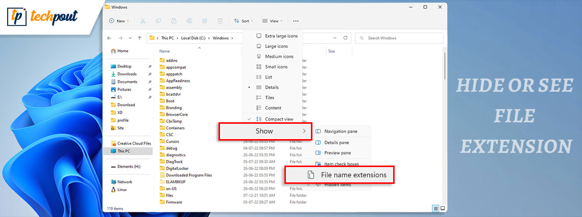 How to Hide or See File Extension in Windows 11