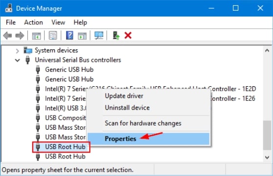 USB Root Hub Properties