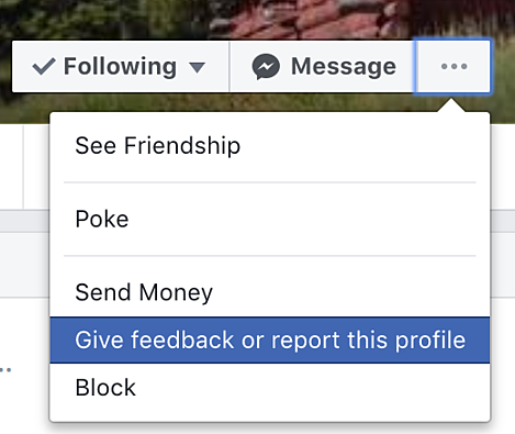 Facebook feedback option window