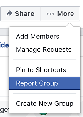 Facebook report group window