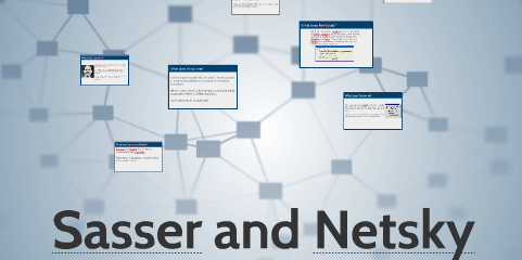 Sasser & Netsky - Latest Computer Virus