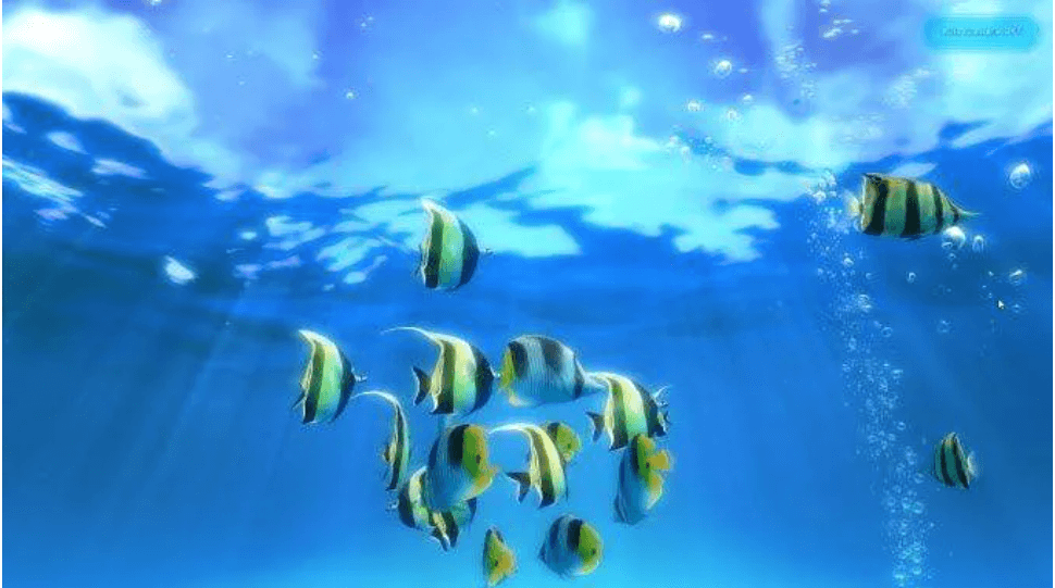 Sim Aquarium 3 - Best Free Live Wallpaper